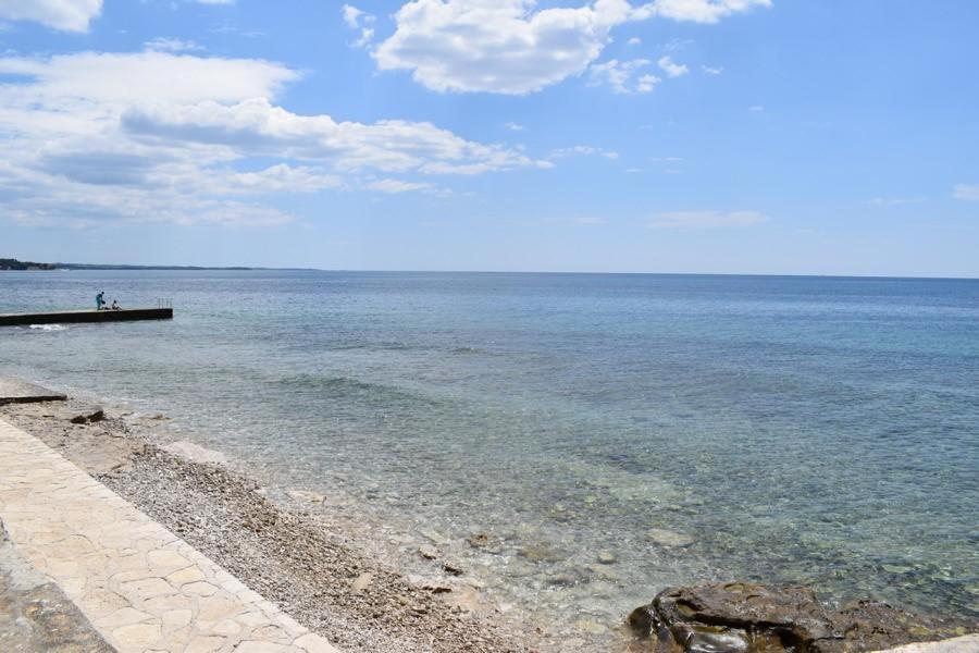 Apartment Matea Novigrad Istria Εξωτερικό φωτογραφία