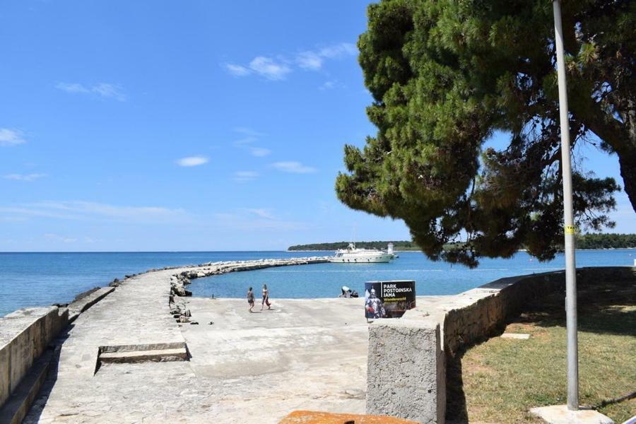 Apartment Matea Novigrad Istria Εξωτερικό φωτογραφία